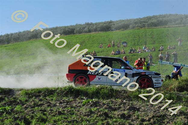 DSC_0911.JPG